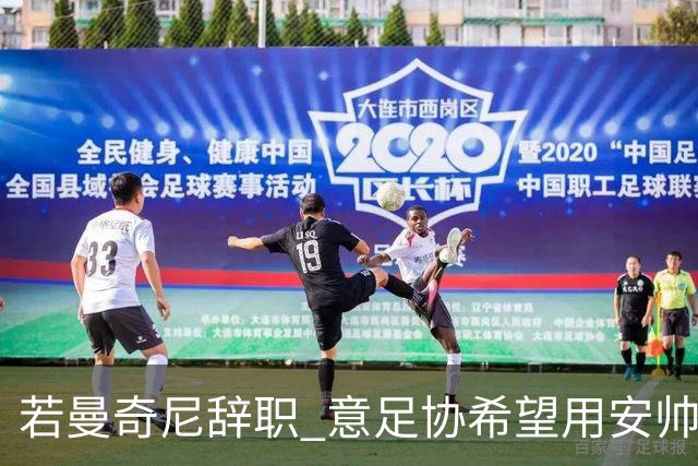 若曼奇尼辞职 意足协希望用安帅或卡纳瓦罗替代